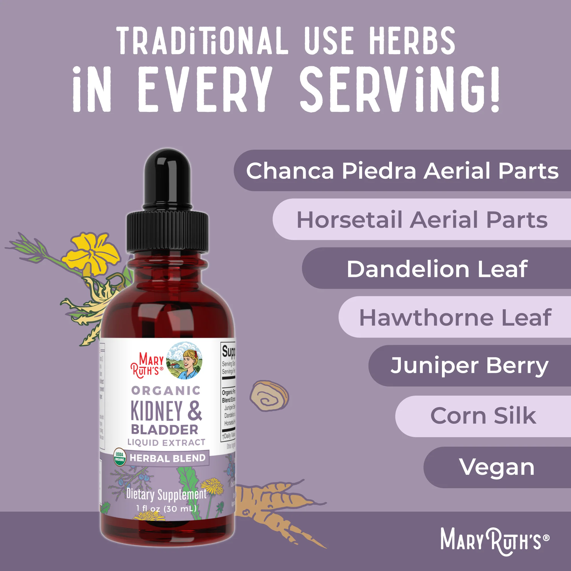 Organic Kidney & Bladder Herbal Blend Liquid Drops - Image 7